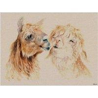 The Art Group Jane Bannon (Sweet Nothings) 60x80cm Canvas