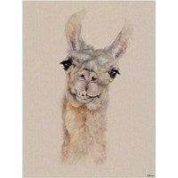 The Art Group Jane Bannon (Rodney) 60x80cm Canvas