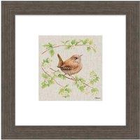 The Art Group Jane Bannon (Jenny Wren) - 30x30cm Framed Art