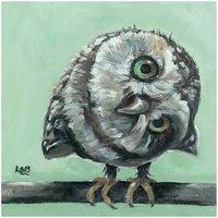 The Art Group Louise Brown (Little Owl) 30x30cm Canvas