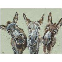 The Art Group Louise Brown (Wise Asses) 30x40cm Canvas