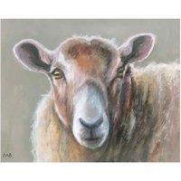 The Art Group Louise Brown (Looking Sheepish) 40x50cm Canvas