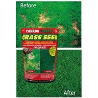 Canada Green 500gm Grass Seed, Green