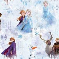 Disney Frozen Ii Wallpaper 10m x 53cm, Multi