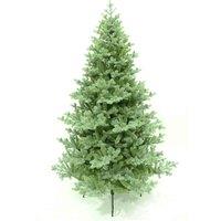 East 8Ft Boston Blue Spruce 5069 Tips Christmas Tree