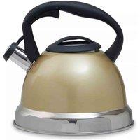 Interiors By Ph Light Gold 3000Ml Whistling Kettle, Gold