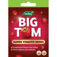 Westland Big Tom Tomato Seeds, Red