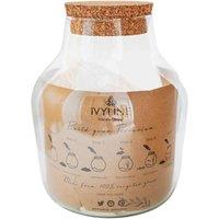 Ivyline Angluar Glass Small Terrarium Diy Kit H22cm D17cm, Clear