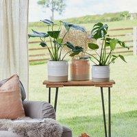 Ivyline Puro Lipped Gloss Peach Ripple Planter H19cm D21cm, Pink