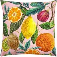 Evans Lichfield Citrus Outdoor Filled Cushion, Pink