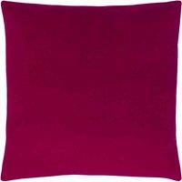 Paoletti Sunningdale Velvet Square Filled Cushion, Pink