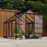 vidaXL Glass Greenhouse Anthracite 155x200.5x191 cm