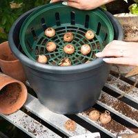 Thompson & Morgan 5 x Bulb Planting Baskets, Green