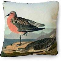 Art Group John James Audubon Red Breasted Sandpiper Cushion 40X40Cms, Multi