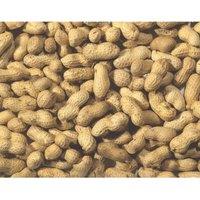 Johnston & Jeff Monkey Nuts