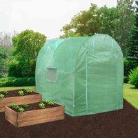 Monster Shop Polytunnel 19Mm 3M X 2M With Racking, Green