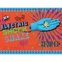 Harry Potter (Electric Shock Shake) Canvas, Multi