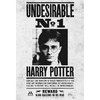 Harry Potter (Undesirable No.1) - 30 X 40cm Canvas, Multi