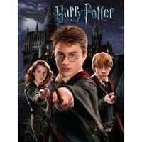 Harry Potter (Harry Ron Hermione) - 30 X 40cm Canvas, Multi