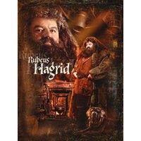 Harry Potter (Hagrid) - 30 X 40cm Canvas, Multi