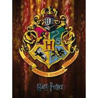 Harry Potter (Hogwarts Crest) - 30 X 40cm Canvas, Multi