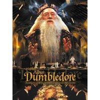 Harry Potter (Dumbledore) - 40 X 50cm Canvas, Multi