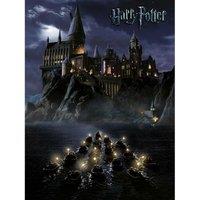 Harry Potter (Hogwarts School) - 40 X 50cm Canvas, Multi