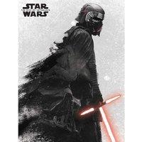 Star Wars: Rise Of Skywalker (Kylo Ren And Vader) Canvas, Multi