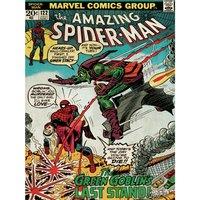 Marvel Spider-man (Green Goblin) ?-60x80 Canvas, Multi