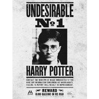 Harry Potter (Undesirable No.1) - 60x80cm Canvas, Multi