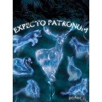 Harry Potter (Patronus) 60x80 Canvas, Multi