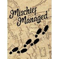 Harry Potter (Mischief Managed) 60x80 Canvas, Multi