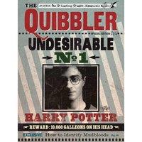 Harry Potter (Quibbler) - 60x80 Canvas, Multi