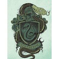 Harry Potter (Slytherin Crest) 60x80 Canvas, Multi