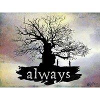 Harry Potter (Always) 60x80 Canvas, Multi