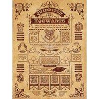 Harry Potter (Quidditch At Hogwarts) 60x80 Canvas, Multi