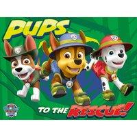 Paw Patrol (Pups To The Rescue) 60x80 Canvas, Multi