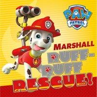 Paw Patrol (Marshell) 30x30 Canvas, Multi
