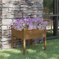 vidaXL Garden Planter Honey Brown 70x70x70cm Solid Pinewood, Brown