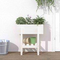 vidaXL Garden Planter White 62x30x69cm Solid Wood Pine, White