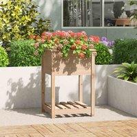 vidaXL Planter with Shelf 54x54x81cm Solid Wood Pine, Brown