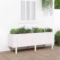 vidaXL Garden Raised Bed White 160x50x57cm Solid Wood Pine, White