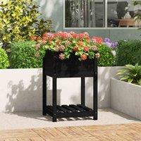 vidaXL Planter w/ Shelf Black 54x54x81cm Solid Wood Pine, Black