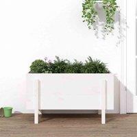 vidaXL Garden Raised Bed White 101x50x57cm Solid Wood Pine, White