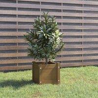 vidaXL Garden Planter Honey Brown 31x31x31cm Solid Pinewood, Brown