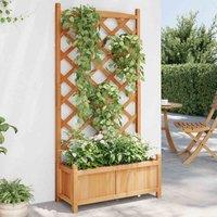 vidaXL Planter w/ Trellis Brown Solid Wood Fir, Brown