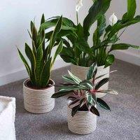 Garden Gear 3pk Grey Sand Seagrass & Jute Planter Basket, Grey