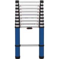 Werner Telescopic Rung Extension Ladder 3.2M