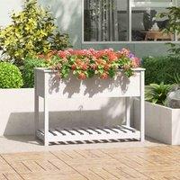 vidaXL Planter with Shelf White 111.5x54x81 cm Solid Pine, White