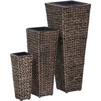 vidaXL Garden Raised Beds 3 pcs Water Hyacinth Dark Brown, Brown
